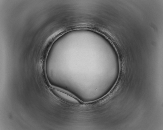 X0000113531402200910161339