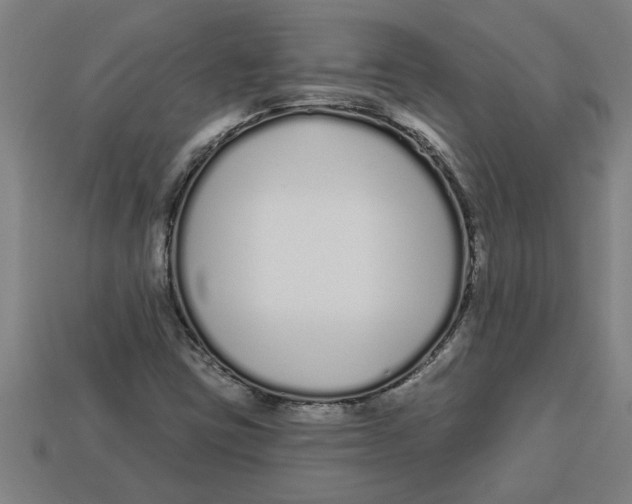 X0000113531403200910161339