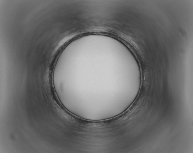 X0000113531404200910161339