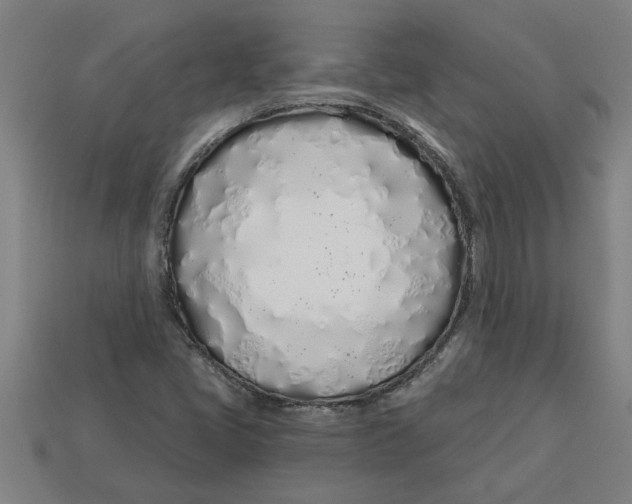 X0000113531405200910161339