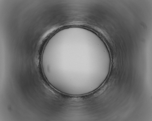 X0000113531406200910161339