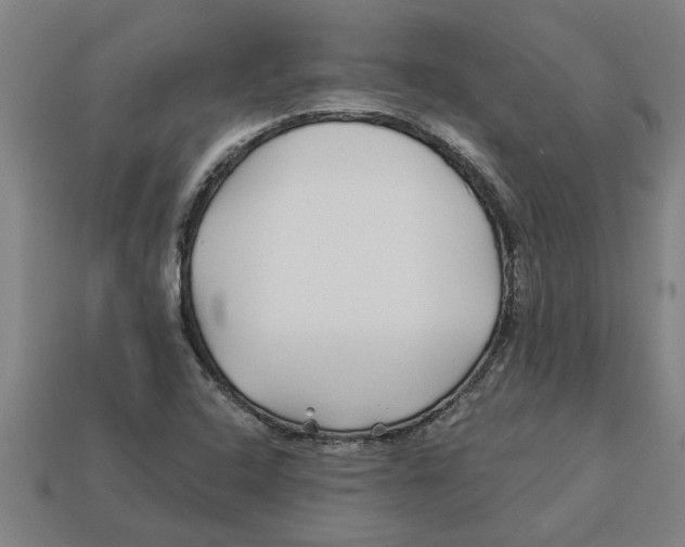 X0000113531408200910161339