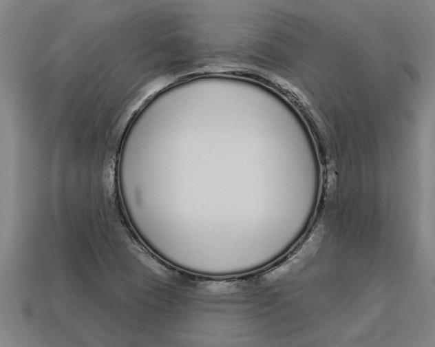 X0000113531409200910161339