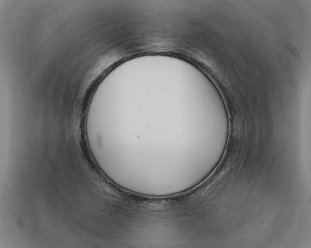 X0000113531410200910161339