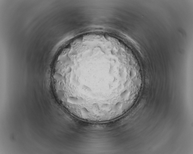 X0000113531411200910161339