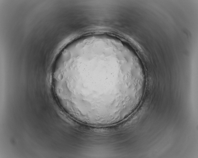 X0000113531413200910161339