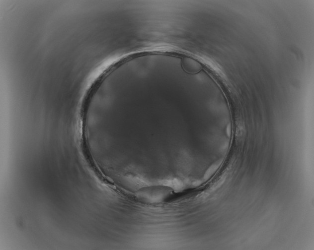 X0000113531414200910161339