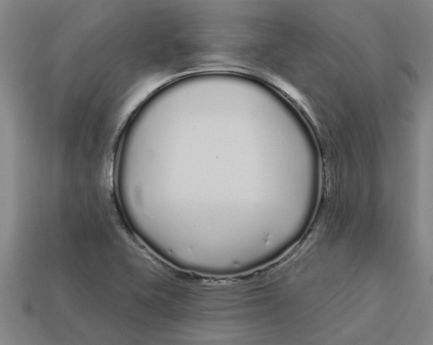 X0000113531415200910161339