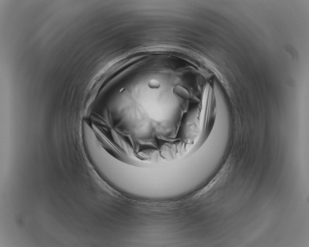 X0000113531417200910161339