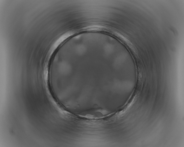 X0000113531418200910161339