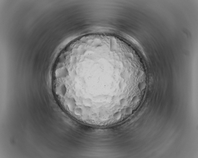 X0000113531419200910161339