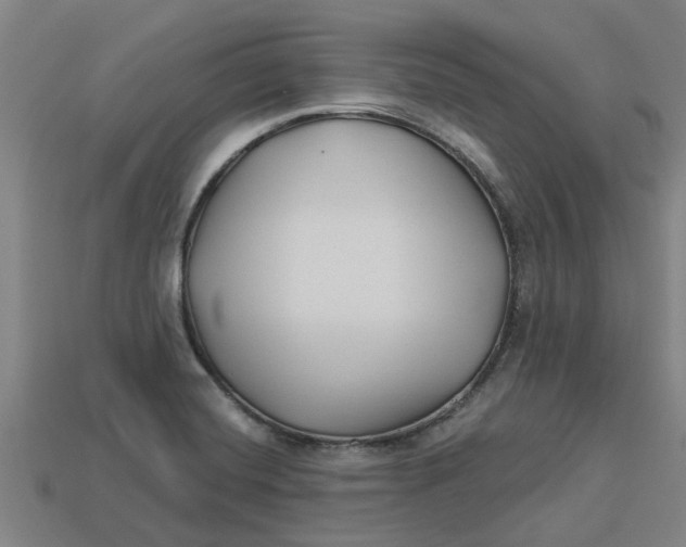 X0000113531420200910161339