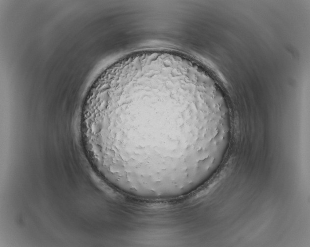 X0000113531421200910161339