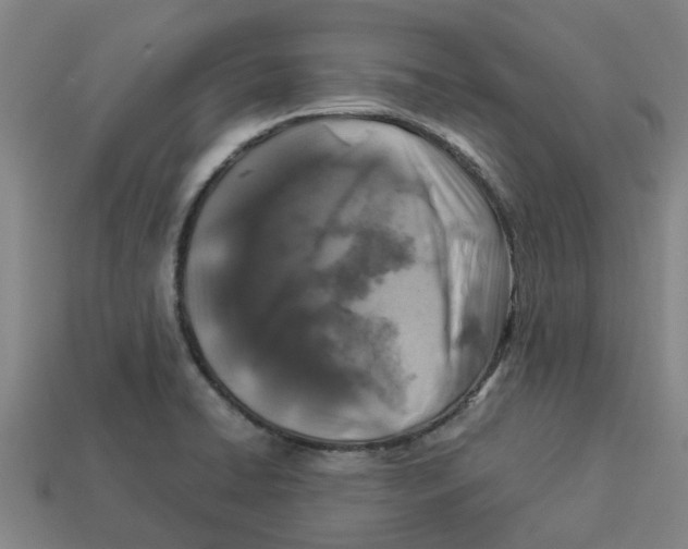 X0000113531422200910161339