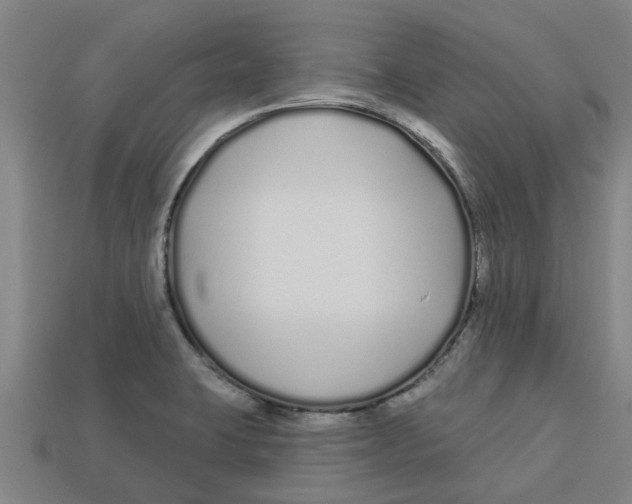 X0000113531423200910161339