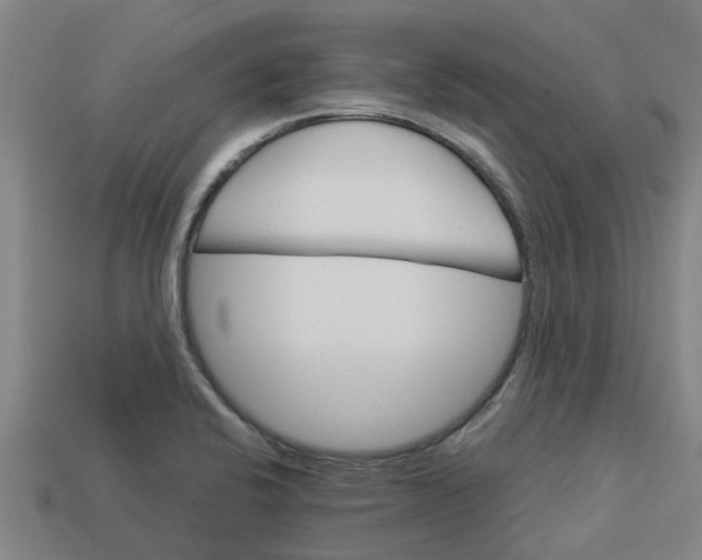 X0000113531424200910161339