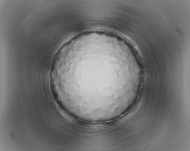 X0000113531425200910161339