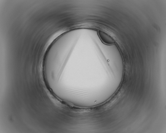 X0000113531426200910161339