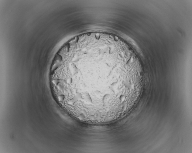 X0000113531427200910161339