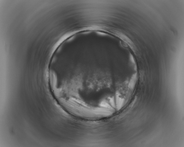 X0000113531428200910161339