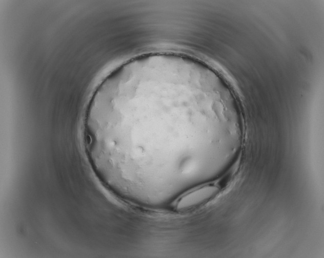 X0000113531429200910161339