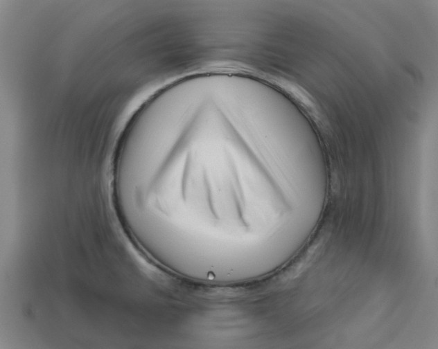 X0000113531430200910161339