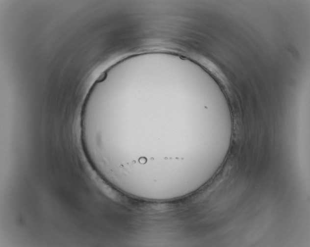 X0000113531431200910161339