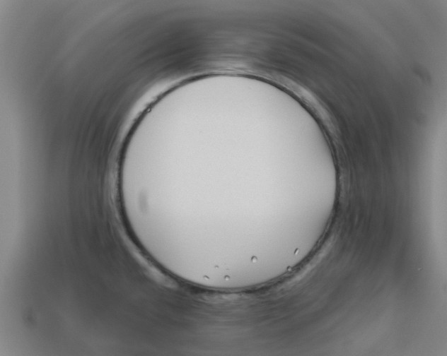 X0000113531432200910161339