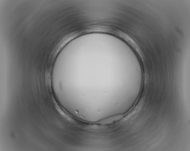 X0000113531433200910161339