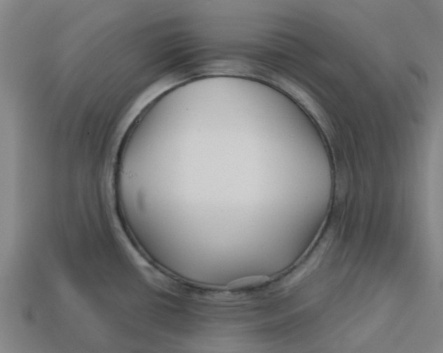 X0000113531434200910161339