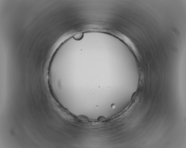 X0000113531435200910161339