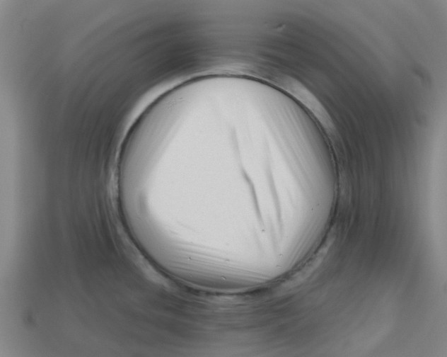 X0000113531436200910161339