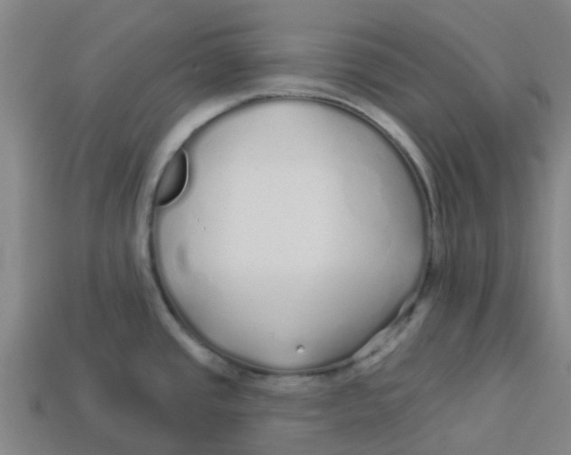 X0000113531437200910161339