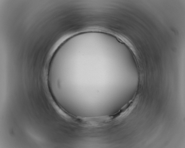 X0000113531438200910161339