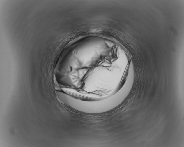 X0000113531441200910161339