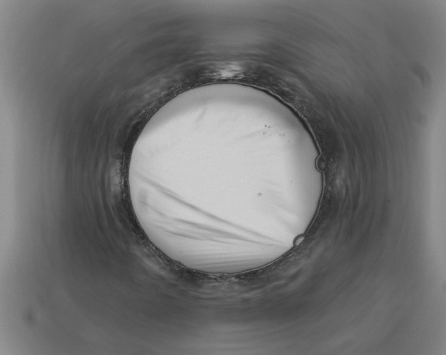 X0000113531442200910161339