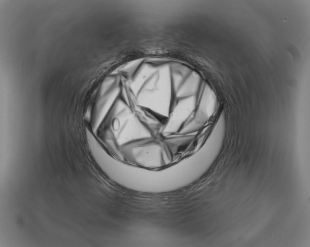 X0000113531444200910161339