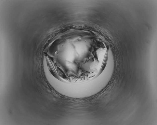 X0000113531445200910161339