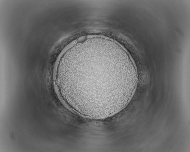 X0000113531446200910161339