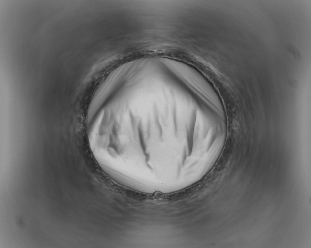 X0000113531447200910161339