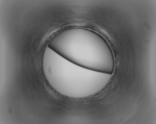 X0000113531448200910161339