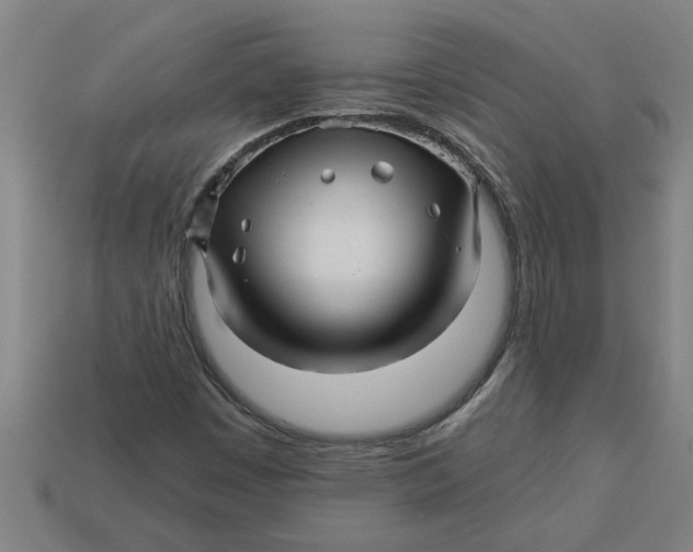 X0000113531449200910161339