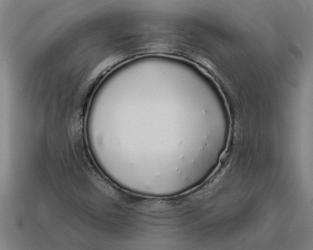 X0000113531450200910161339