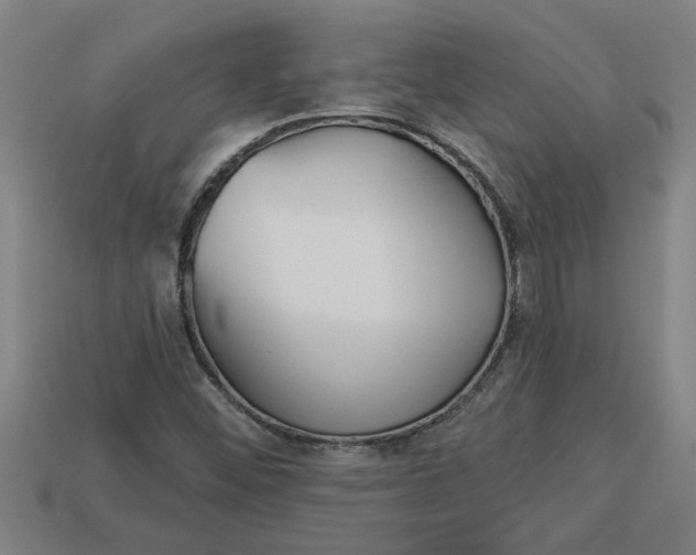 X0000113531452200910161339