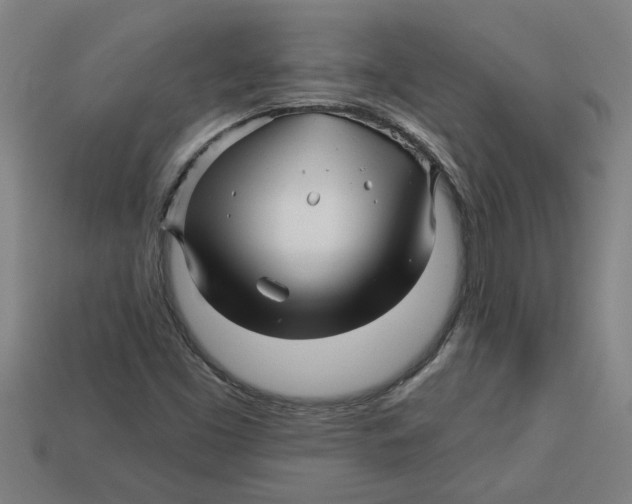 X0000113531453200910161339