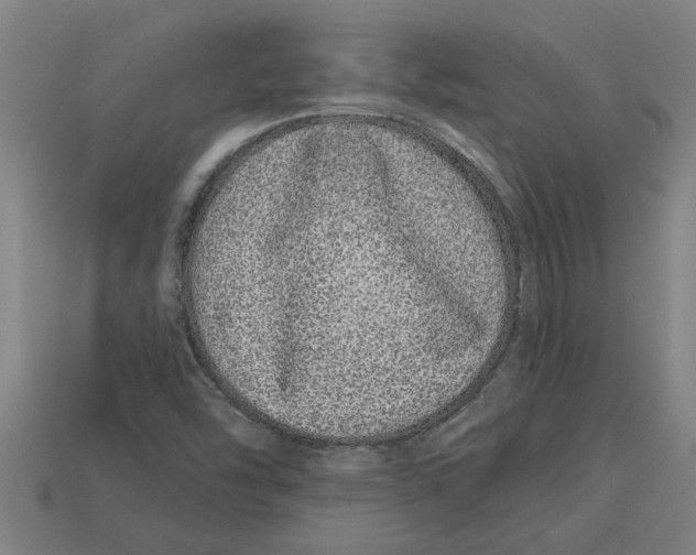 X0000113531454200910161339