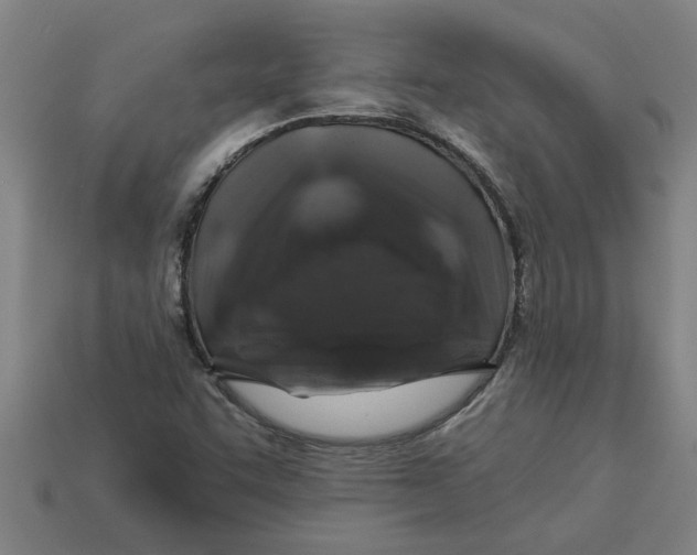 X0000113531455200910161339