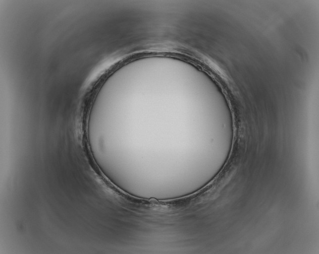 X0000113531456200910161339