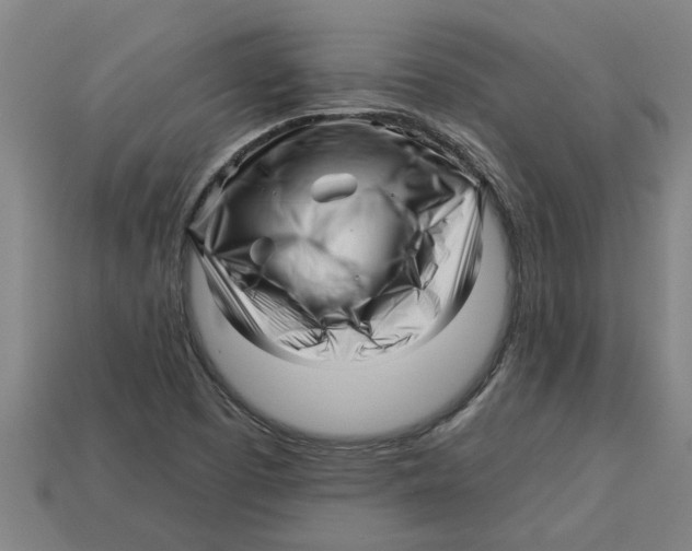 X0000113531457200910161339