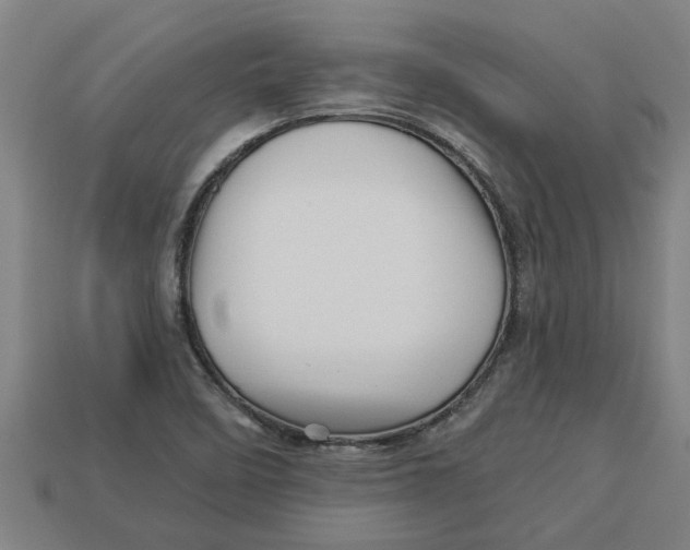 X0000113531458200910161339